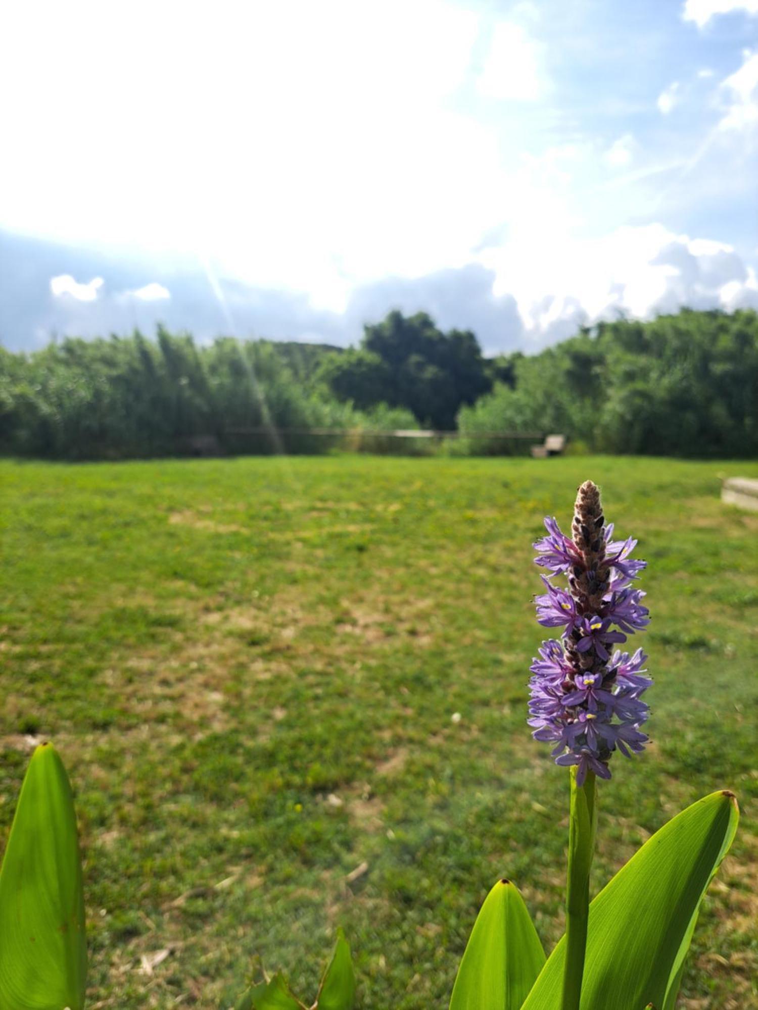 Lacasadirosa Řím Exteriér fotografie