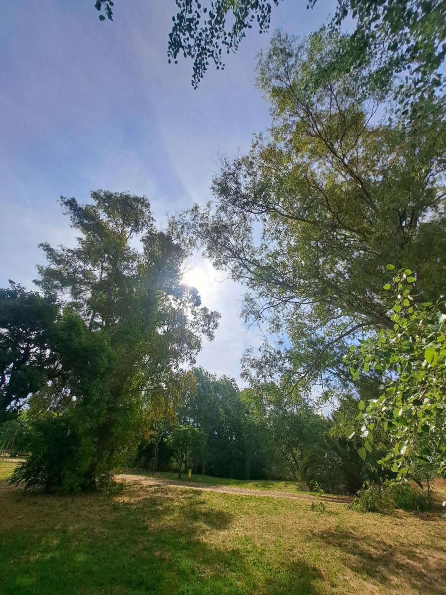 Lacasadirosa Řím Exteriér fotografie
