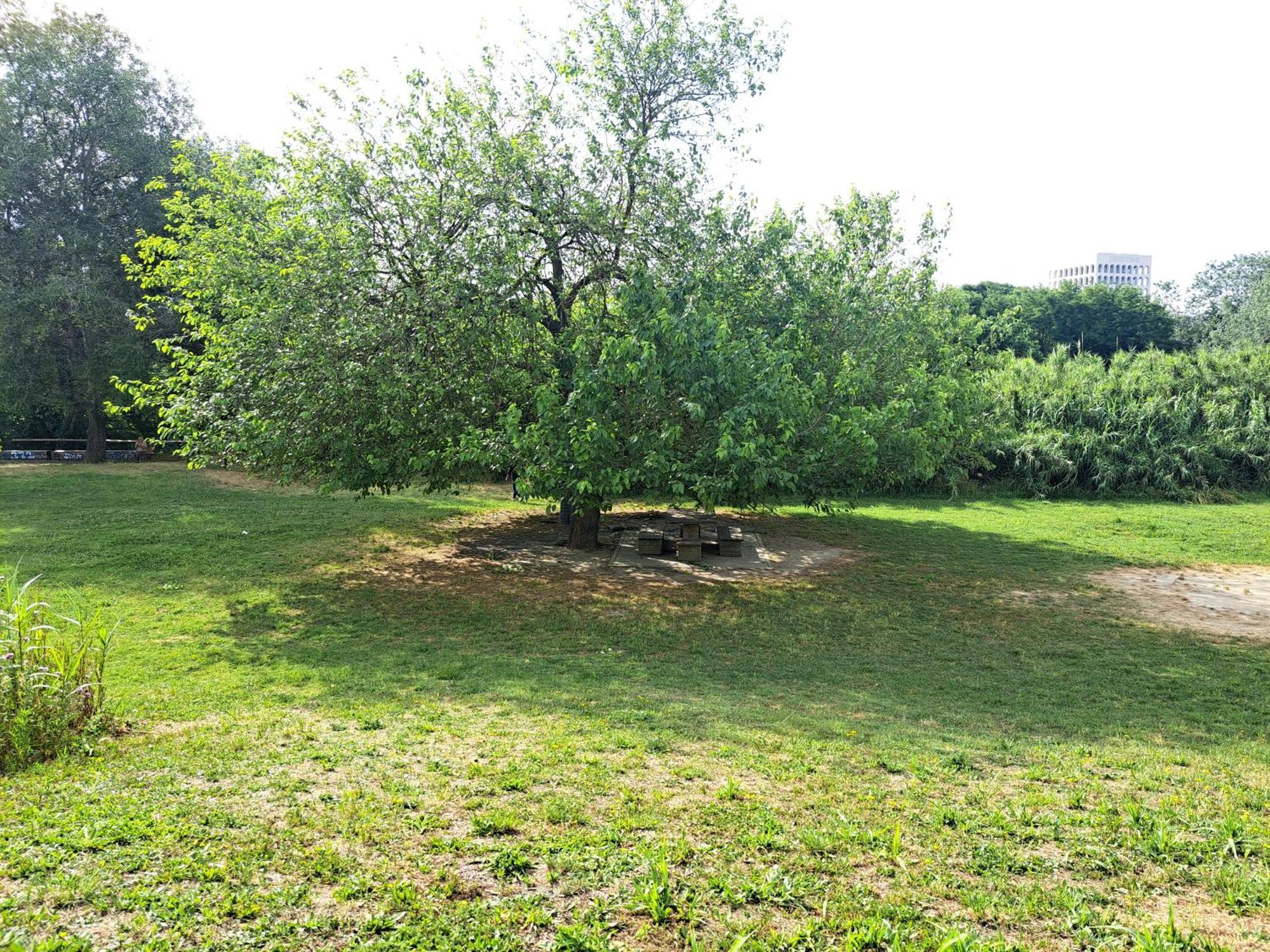 Lacasadirosa Řím Exteriér fotografie